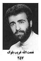 آلبوم اختصاصی تصاویر شهید نعمت اله غریب بلوک . کد 1403248807 آ