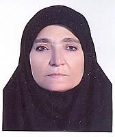 آلبوم اختصاصی تصاویر شهید ابراهیم گودرزی . کد 1403249680 آ