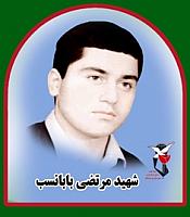 آلبوم اختصاصی تصاویر شهید مرتضی بابانسب . کد 1403253239 آ