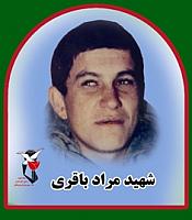 آلبوم اختصاصی تصاویر شهید مراد باقری فرمی . کد 1403254091 آ