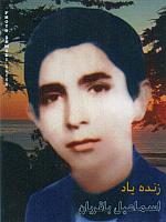 آلبوم اختصاصی تصاویر شهید اسماعیل باقریان جمنانی . کد 1403308174 آ