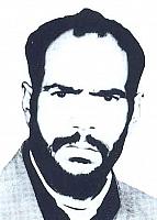 آلبوم اختصاصی تصاویر شهید محمدحسین ثبوت . کد 1403296564 آ