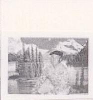 آلبوم اختصاصی تصاویر شهید ارج علی رنجبر . کد 1403311910 آ