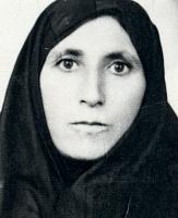 آلبوم اختصاصی تصاویر شهید حسنی جان زراعت پیشه . کد 1403279214 آ