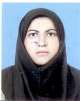 آلبوم اختصاصی تصاویر شهید محمدشریف ستوده . کد 1403280082 آ