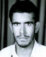 آلبوم اختصاصی تصاویر شهید هاشم شعبانی . کد 1403292139 آ