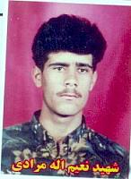 آلبوم اختصاصی تصاویر شهید نعیم اله مرادی . کد 1403326244 آ