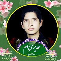 شهید حسام الدین هاشمی (5)