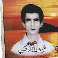 آلبوم اختصاصی تصاویر شهید کرم ملک نسب . کد 1403303538 آ