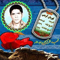 آلبوم اختصاصی تصاویر شهید قهرمان کریمی . کد 1403317329 آ