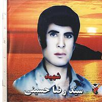 آلبوم اختصاصی تصاویر شهید سیدرضا حسینی . کد 1403273006 آ