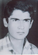 آلبوم اختصاصی تصاویر شهید شکراله اکبری . کد 1403138012 آ