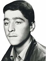 آلبوم اختصاصی تصاویر شهید یحیی سرپرست . کد 1403280180 آ