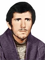 آلبوم اختصاصی تصاویر شهید علی اکبر محمودی . کد 1403264132 آ