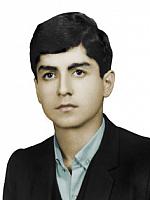 آلبوم اختصاصی تصاویر شهید علی محمد مرادپسندی . کد 1403302937 آ