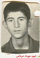 آلبوم اختصاصی تصاویر شهید مهرداد ضرغامی . کد 1403232543 آ