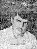 آلبوم اختصاصی تصاویر شهید احمد چکامیان رحمانی . کد 1403225895 آ