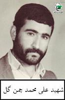 آلبوم اختصاصی تصاویر شهید علی محمد چمن گل . کد 1403271785 آ