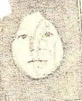 آلبوم اختصاصی تصاویر شهید انوار چمنی . کد 1403271787 آ