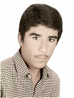 آلبوم اختصاصی تصاویر شهید نردعلی چندکارپور . کد 1403256042 آ