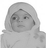 آلبوم اختصاصی تصاویر شهید محمد چوبین . کد 1403297356 آ