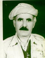 آلبوم اختصاصی تصاویر شهید اسعد چیچویحیی . کد 1403308965 آ