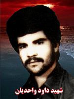 آلبوم اختصاصی تصاویر شهید داود واحدیان . کد 1403305170 آ