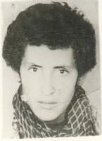 آلبوم اختصاصی تصاویر شهید جوهر ویسی . کد 1403251513 آ