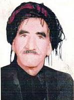 آلبوم اختصاصی تصاویر شهید نامدار ویسی . کد 1403266283 آ