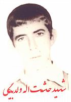 آلبوم اختصاصی تصاویر شهید حشمت اله ولدبیگی . کد 1403251478 آ