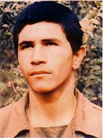 آلبوم اختصاصی تصاویر شهید سیدمحمود وقاری . کد 1403290421 آ