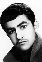 آلبوم اختصاصی تصاویر شهید محمد وحیدیان . کد 1403251435 آ