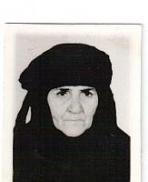 آلبوم اختصاصی تصاویر شهید زرین تاج جانی . کد 1403255517 آ