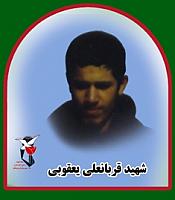 آلبوم اختصاصی تصاویر شهید قربان یعقوبی . کد 1403219283 آ